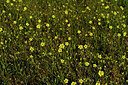 BUITEN BEELD Foto: 441246
