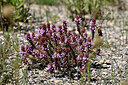 BUITEN BEELD Foto: 441249