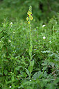 BUITEN BEELD Foto: 441252