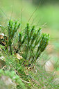 BUITEN BEELD Foto: 441254