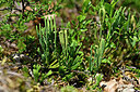 BUITEN BEELD Foto: 441256