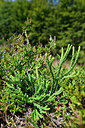 BUITEN BEELD Foto: 441259