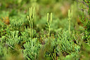 BUITEN BEELD Foto: 441262