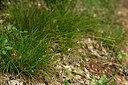 BUITEN BEELD Foto: 441267