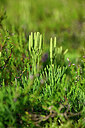 BUITEN BEELD Foto: 441270