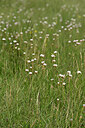 BUITEN BEELD Foto: 441271