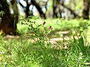 BUITEN BEELD Foto: 441274
