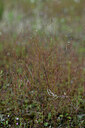 BUITEN BEELD Foto: 441277