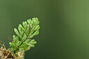 BUITEN BEELD Foto: 441284