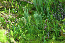 BUITEN BEELD Foto: 441286