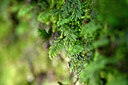 BUITEN BEELD Foto: 441289