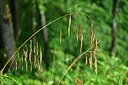 BUITEN BEELD Foto: 441294
