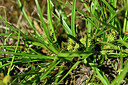 BUITEN BEELD Foto: 441295