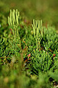 BUITEN BEELD Foto: 441297