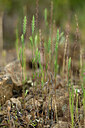 BUITEN BEELD Foto: 441298