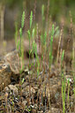 BUITEN BEELD Foto: 441300