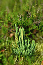 BUITEN BEELD Foto: 441304