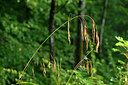 BUITEN BEELD Foto: 441305