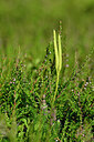 BUITEN BEELD Foto: 441307
