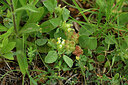BUITEN BEELD Foto: 441309