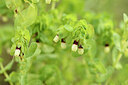 BUITEN BEELD Foto: 441312