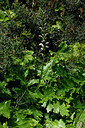 BUITEN BEELD Foto: 441316