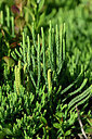BUITEN BEELD Foto: 441321