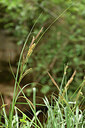 BUITEN BEELD Foto: 441335