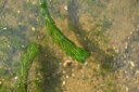 BUITEN BEELD Foto: 441336