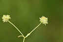 BUITEN BEELD Foto: 441337