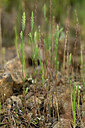 BUITEN BEELD Foto: 441338