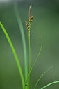 BUITEN BEELD Foto: 441339