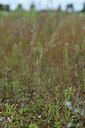BUITEN BEELD Foto: 441343