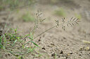 BUITEN BEELD Foto: 441344