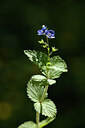 BUITEN BEELD Foto: 441354