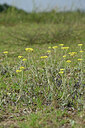 BUITEN BEELD Foto: 441361