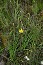 BUITEN BEELD Foto: 441362