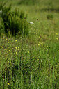 BUITEN BEELD Foto: 441364