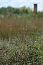 BUITEN BEELD Foto: 441367
