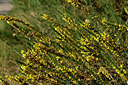 BUITEN BEELD Foto: 441368
