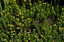BUITEN BEELD Foto: 441369