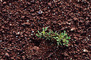 BUITEN BEELD Foto: 441371