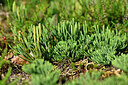 BUITEN BEELD Foto: 441373