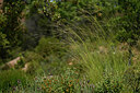 BUITEN BEELD Foto: 441374