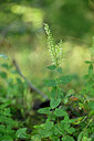 BUITEN BEELD Foto: 441375