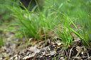 BUITEN BEELD Foto: 441377