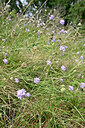 BUITEN BEELD Foto: 441378
