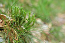 BUITEN BEELD Foto: 441386