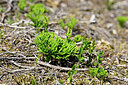 BUITEN BEELD Foto: 441389