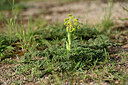 BUITEN BEELD Foto: 441393